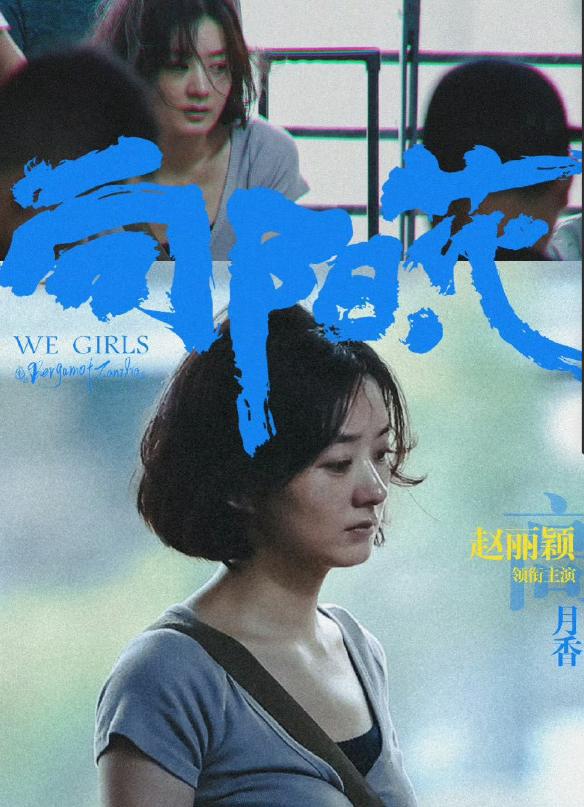 清明檔最野黑馬15萬人等著看趙麗穎向陽花開預(yù)售票房穩(wěn)了？(圖5)