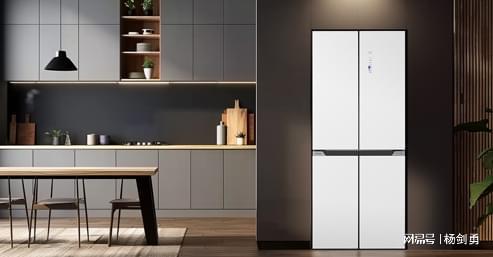 年入184億！超七成收入來自海外TCL智家全球化成效顯著