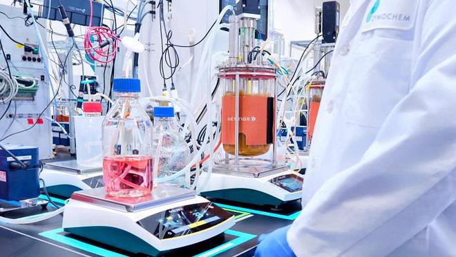 Lululemon與合成生物初創(chuàng)開(kāi)展合作推進(jìn)和擴(kuò)大生物基尼龍的生產(chǎn)