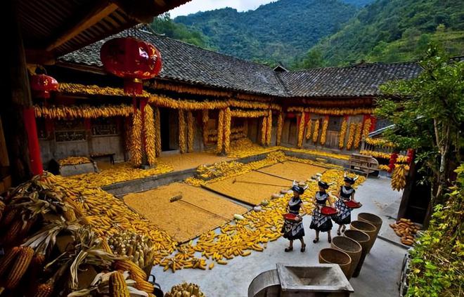 重慶酉陽(yáng)發(fā)現(xiàn)4大傳統(tǒng)村落土家苗寨風(fēng)情獨(dú)特引關(guān)注。(圖4)