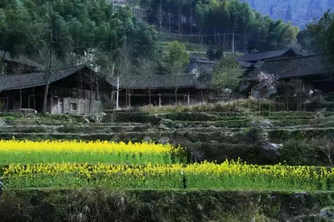 重慶酉陽(yáng)發(fā)現(xiàn)4大傳統(tǒng)村落土家苗寨風(fēng)情獨(dú)特引關(guān)注。(圖6)