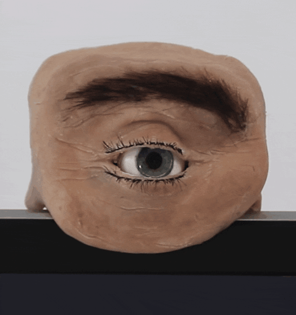 家里安裝了監(jiān)控?cái)z像頭的人小心！有人可能在網(wǎng)上直播你家(圖5)