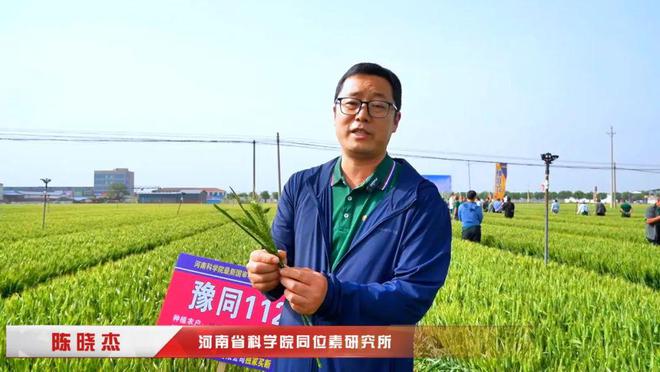 高產(chǎn)抗逆“豫同112”：國(guó)審小麥新品種觀摩品鑒會(huì)成果豐碩(圖2)